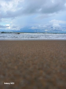 Kattupalli