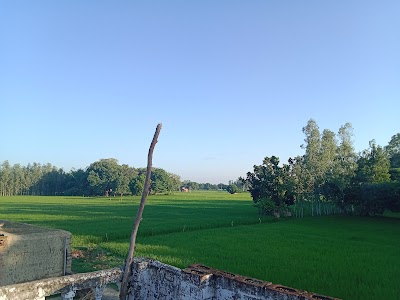 Kali mata mandir