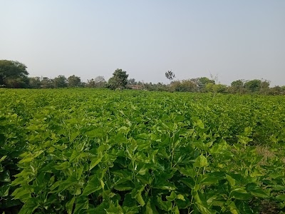 Ramtala