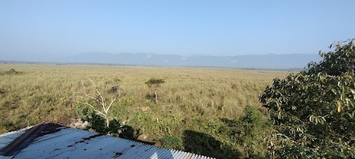 Manas National Park and Tiger Reserve
