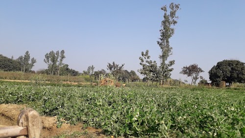 Sarangpur