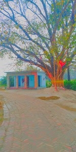Babhangama Ma Kali Mandir