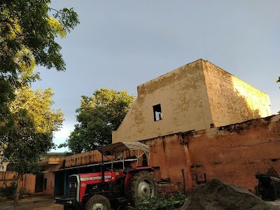 तंवरो का महल