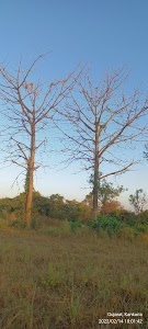 Jogwad