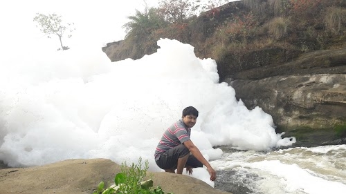 Palash Danga