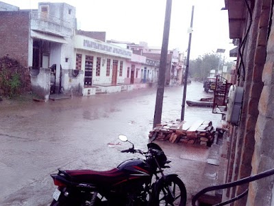 Dhola