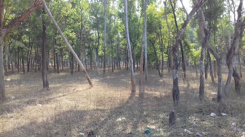 Nimpura