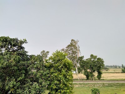 Ramchaura