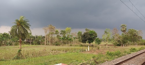 Majdia