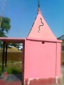 Basan Bigha