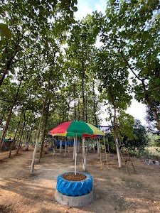 Bhimson's Agro Park & Tourism