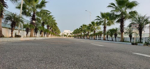 Dbali White House