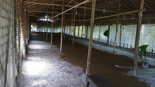 Aj pellet farm