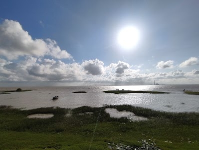 Kulpi river side