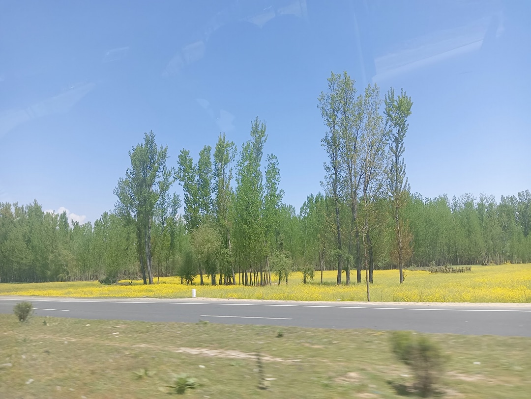 NH 44, Bypass