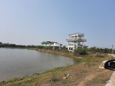 Sundari Complex - West Bengal Fisheries Development