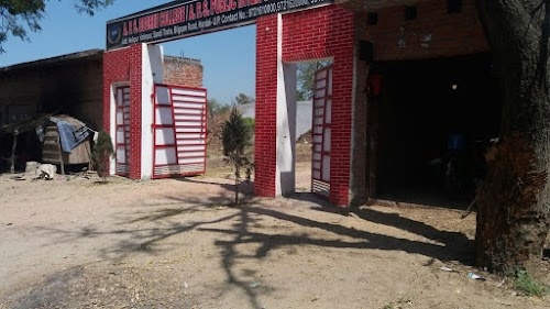 A P S Degree College