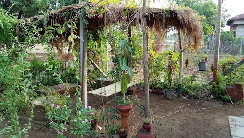 Vedchhi