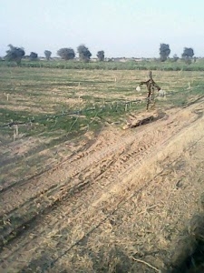 Nagnechya Pig Farm