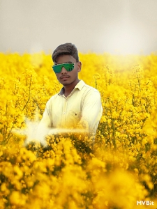 MD ayyam havari