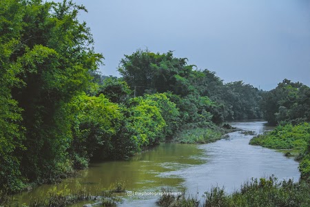 Dumriya