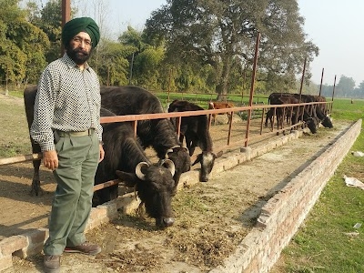 PURI SEEDS, ASHUTOSH PURI FARM