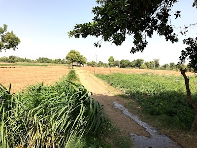 Velani Farm