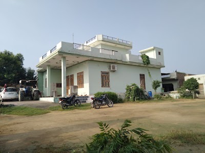 Oasis The School