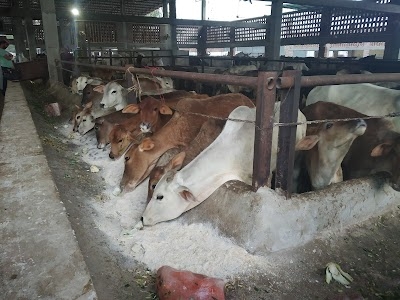 Shri Gaushala (Regd.)