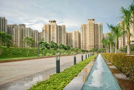 Palm Olympia