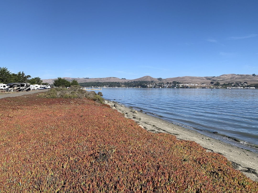 Westside Regional Park and Campground