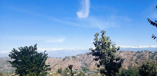 Ropari