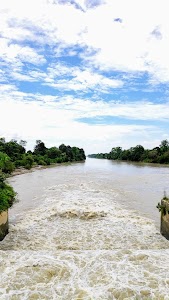 Nirgajani