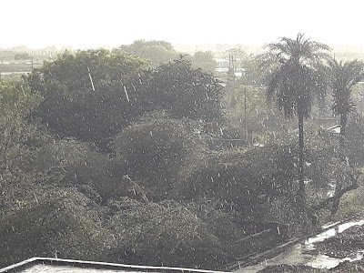 Gulavali