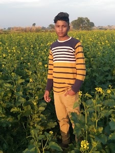 Bindwa Kawari