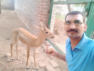 DEER PARK AND CONSERVATION CENTER