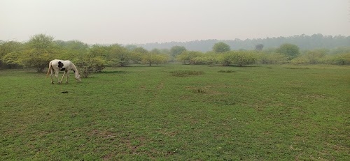 Surajgarh