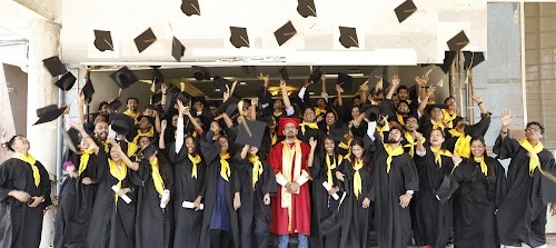 SAS Institute Of Management Studies