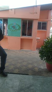 Maa Vasno nandani foods