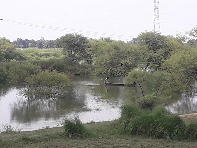 Tamas River