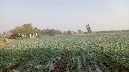 Madhavgadh
