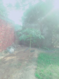 Jamia Milla Islamia University Of GIRORA (Firoz Khan sb)