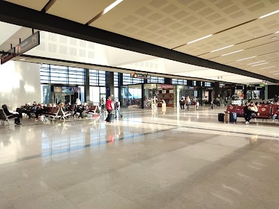 Tijuana International Airport (TIJ)