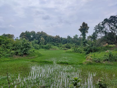 Sumsilui