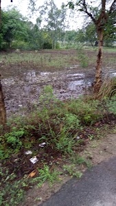 Lamaban Kata