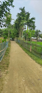 Balikatia