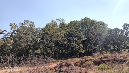 BASUDEVPUR SQUARE