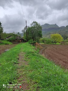 Dongarwadi