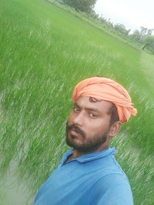Katni