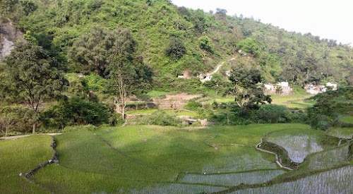 Talyamandal
